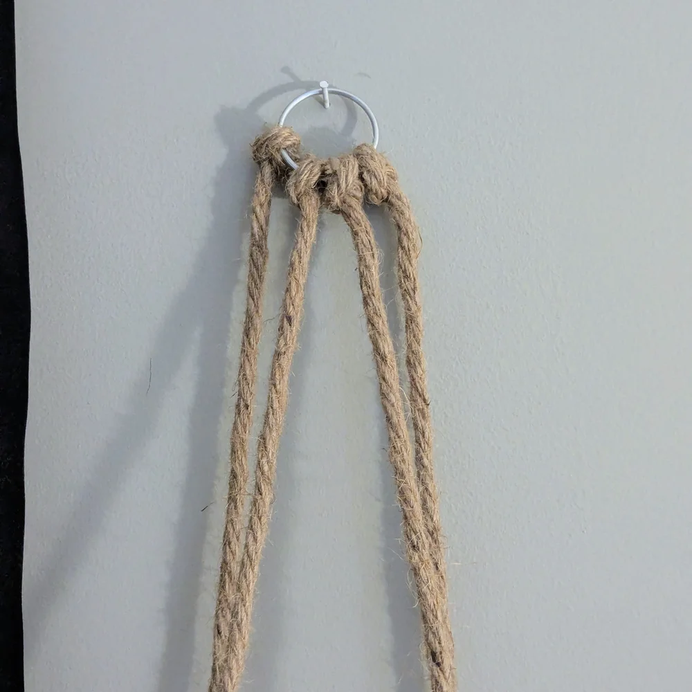 Natural Rope Hanging Shelf with Rubber Plant In White Planter
